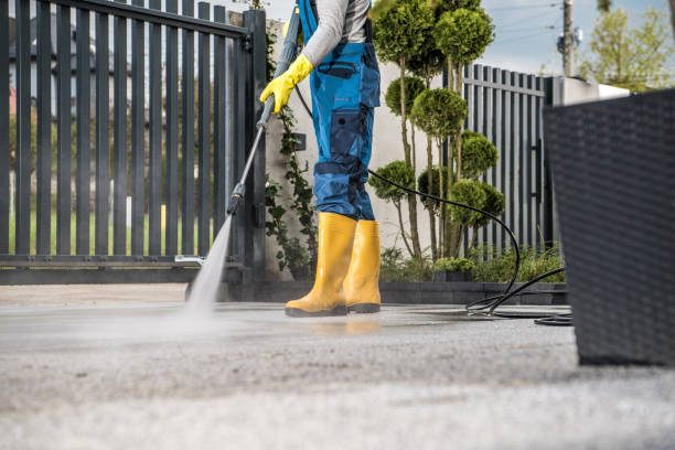 Best Building Exterior Washing  in Sewalls Point, FL
